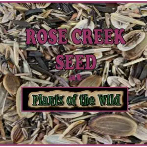 A Rose Creek Wildflower Grass Meadow Mix
